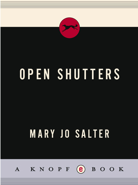 Cover image for book Open Shutters