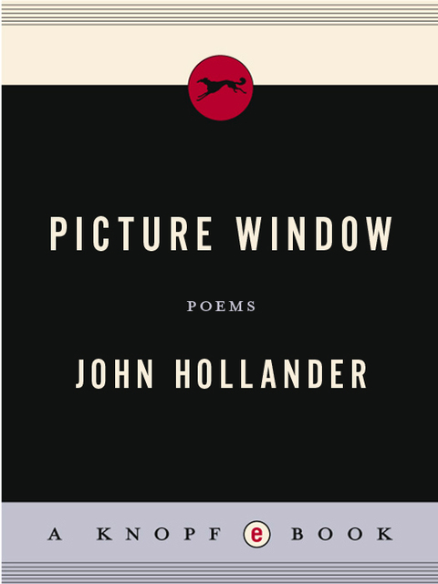 Cover image for book Picture Window