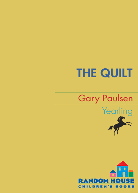 Cover image for book The Quilt