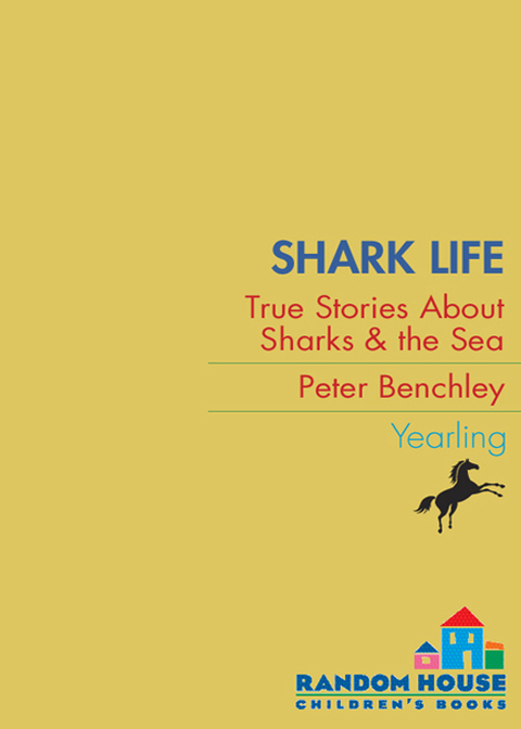 Cover image for book Shark Life