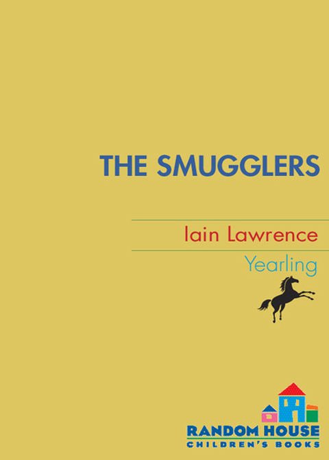 Cover image for book The Smugglers