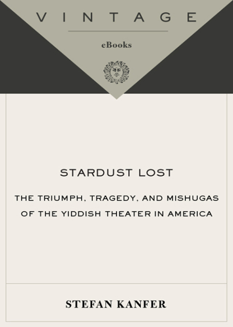 Cover image for book Stardust Lost
