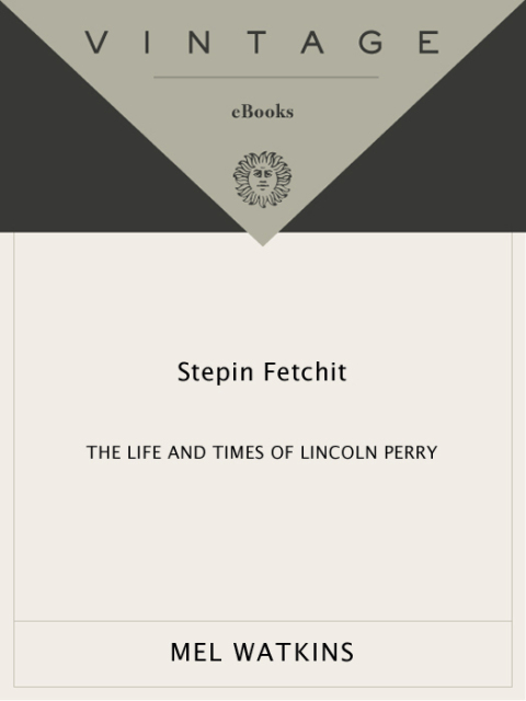 Cover image for book Stepin Fetchit