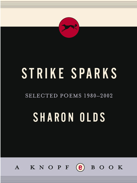 Cover image for book Strike Sparks