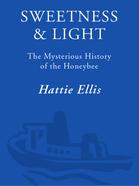 Cover image for book Sweetness and Light