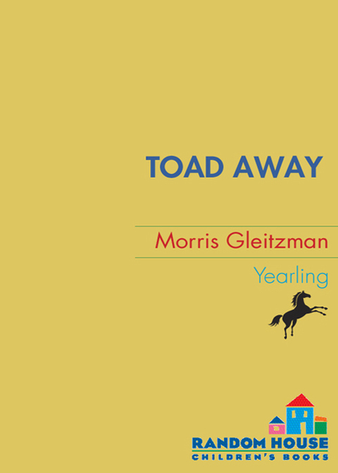 Cover image for book Toad Away
