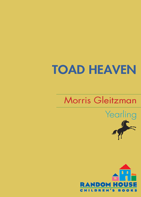 Cover image for book Toad Heaven