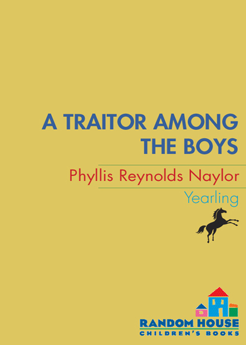 Cover image for book A Traitor Among the Boys