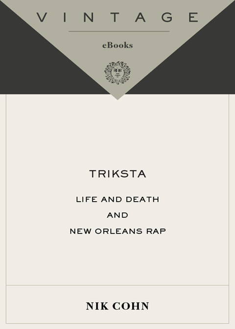Cover image for book Triksta