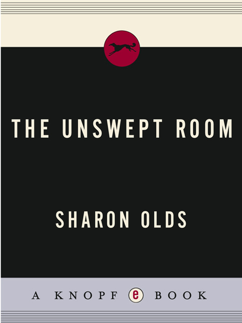 Cover image for book The Unswept Room