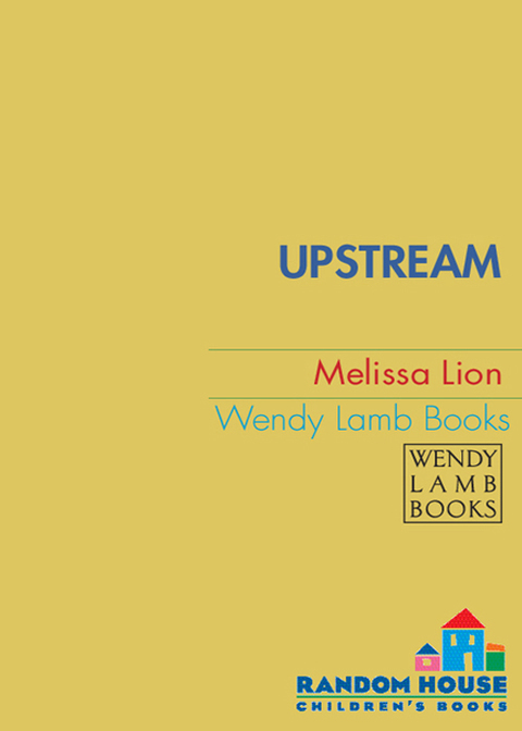 Cover image for book Upstream