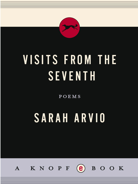 Cover image for book Visits from the Seventh