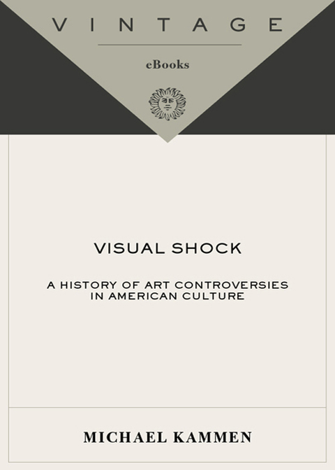 Cover image for book Visual Shock
