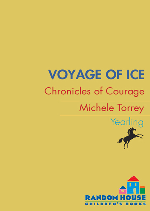 Cover image for book Voyage of Ice