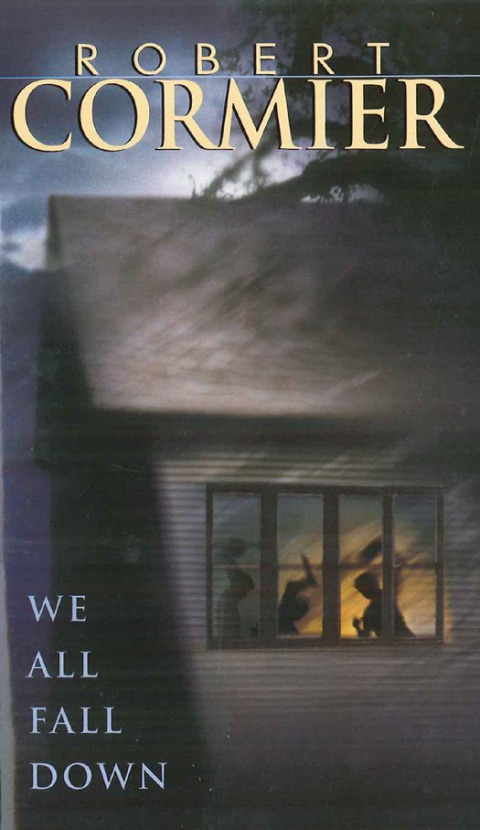 Cover image for book We All Fall Down