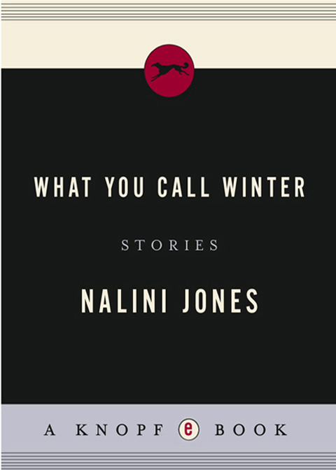 Cover image for book What You Call Winter
