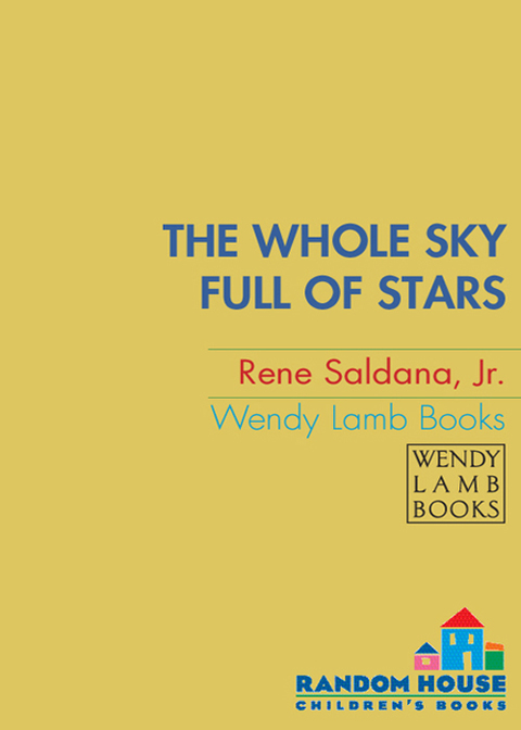 Cover image for book The Whole Sky Full of Stars