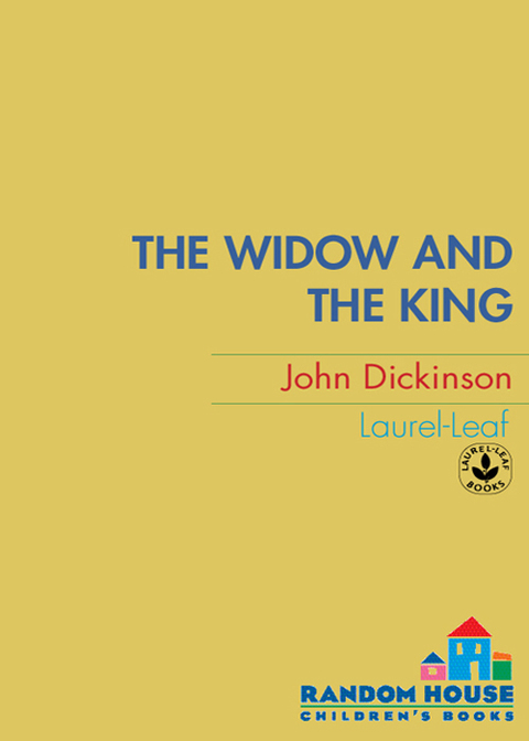 Cover image for book The Widow and the King