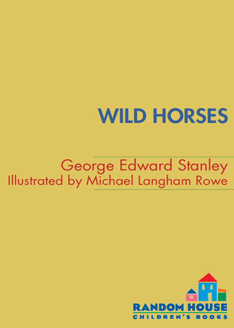 Cover image for book Wild Horses