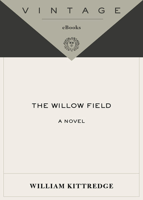 Cover image for book The Willow Field
