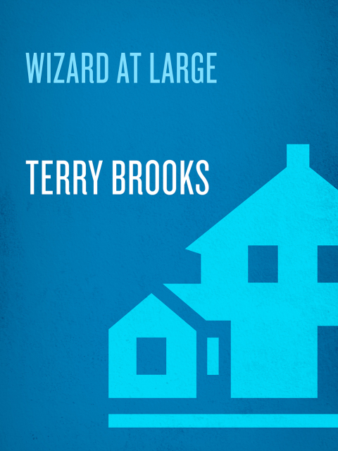 Cover image for book Wizard at Large