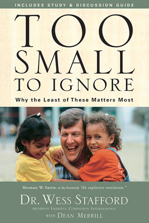Cover image for book Too Small to Ignore