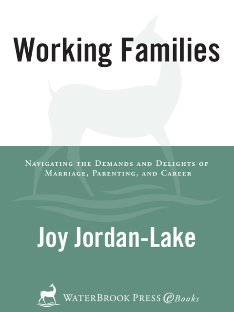 Cover image for book Working Families
