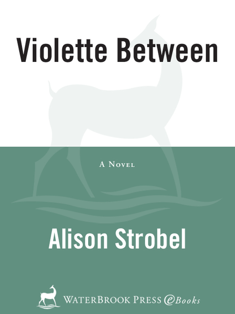 Cover image for book Violette Between