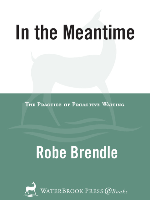 Cover image for book In the Meantime