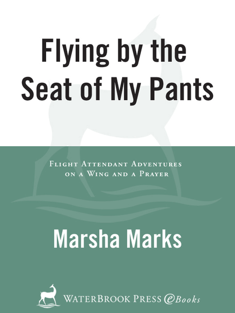 Cover image for book Flying by the Seat of My Pants