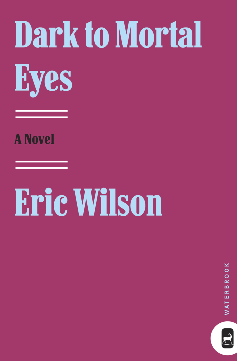 Cover image for book Dark to Mortal Eyes