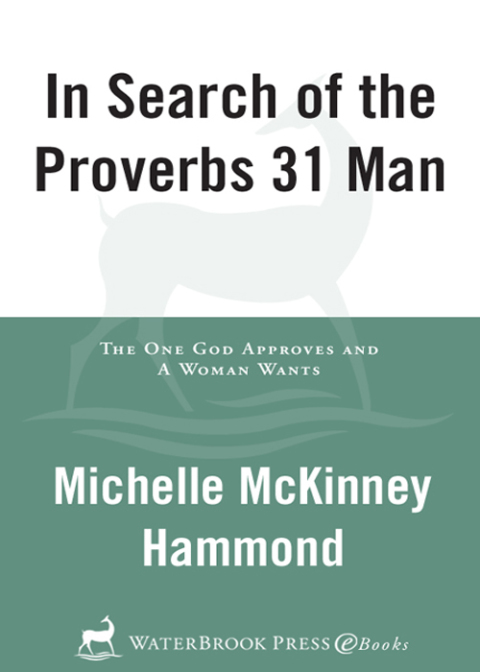 Cover image for book In Search of the Proverbs 31 Man
