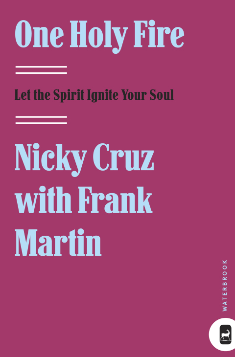 Cover image for book One Holy Fire