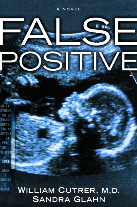 Cover image for book False Positive