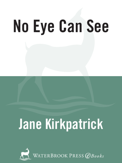 Cover image for book No Eye Can See