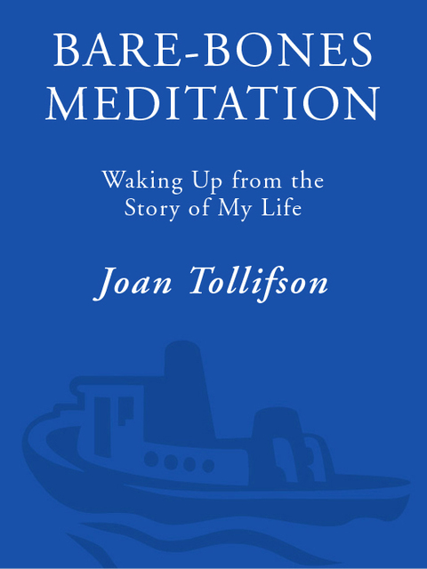 Cover image for book Bare-Bones Meditation