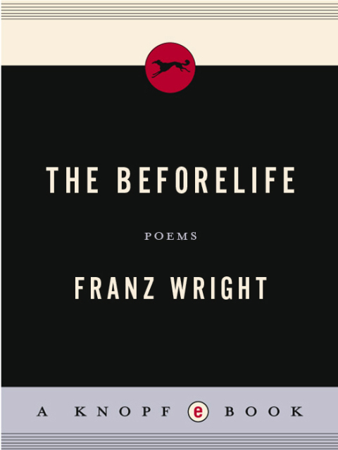 Cover image for book The Beforelife