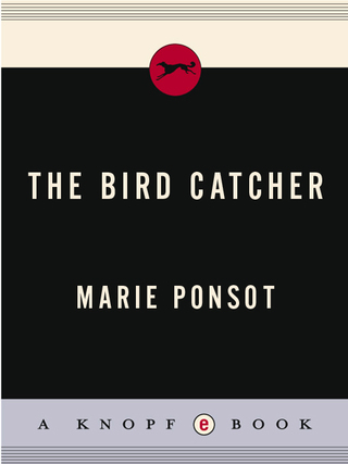 The Bird Catcher