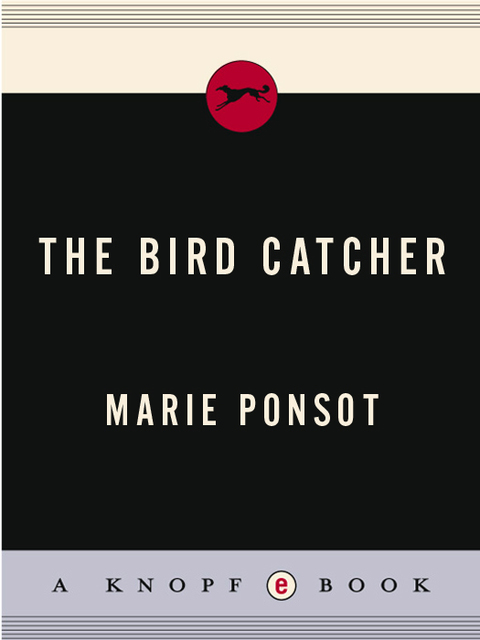 Cover image for book The Bird Catcher