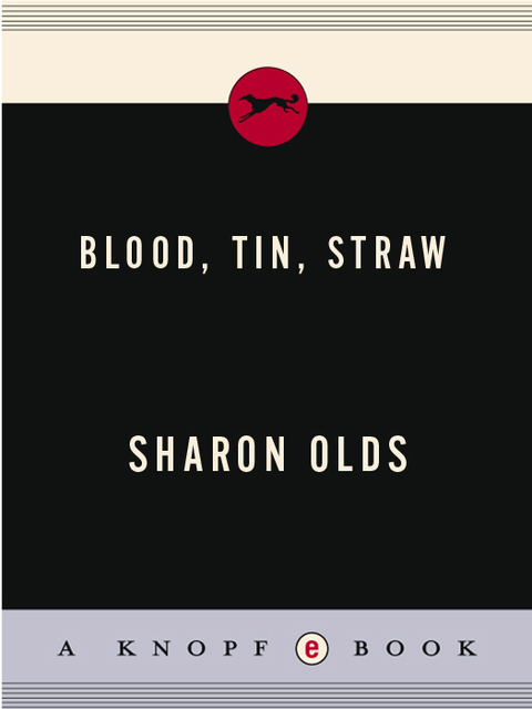 Cover image for book Blood, Tin, Straw