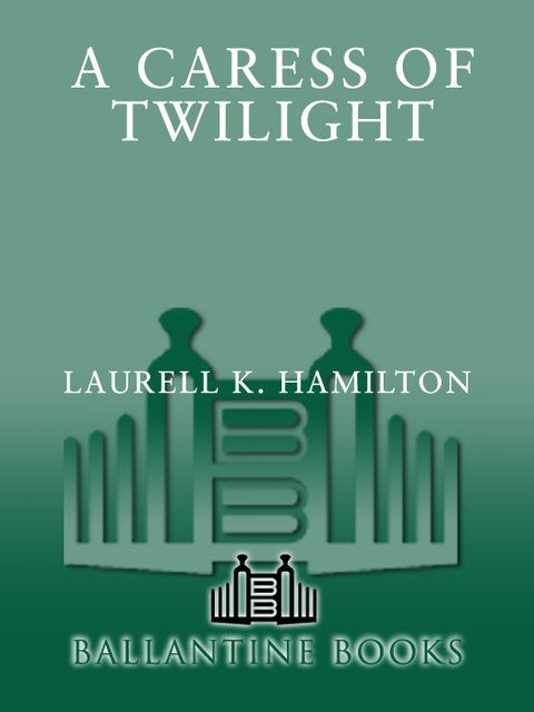 Cover image for book A Caress of Twilight