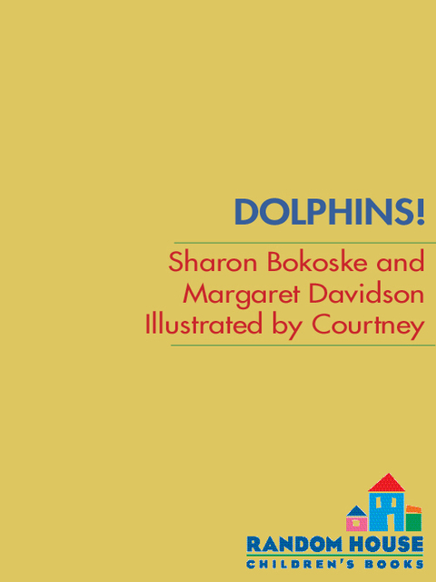 Cover image for book Dolphins!