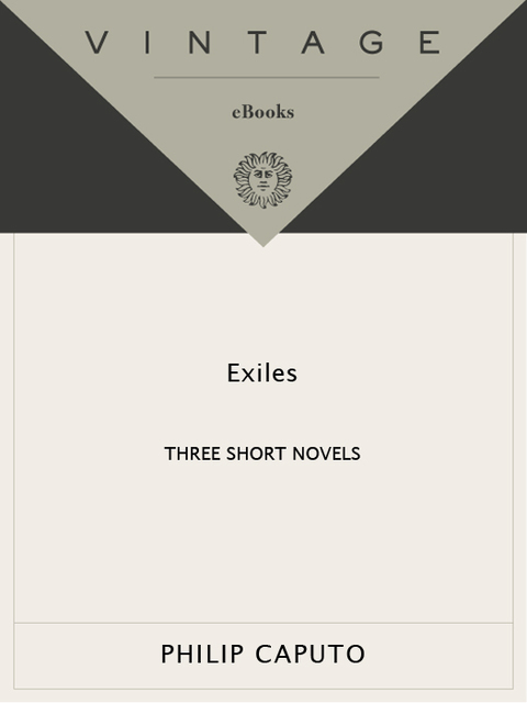 Cover image for book Exiles