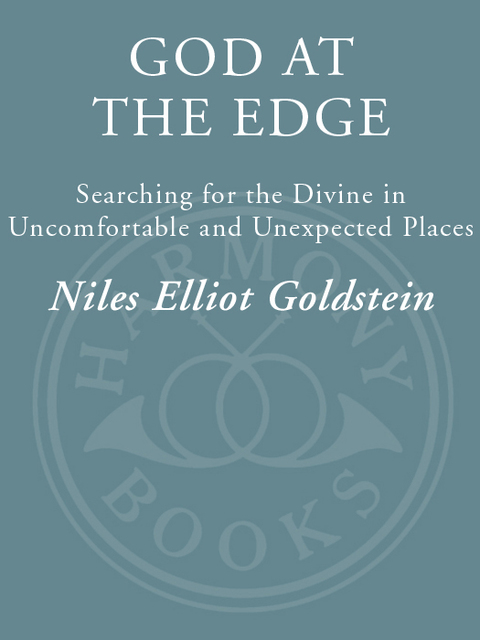 Cover image for book God at the Edge