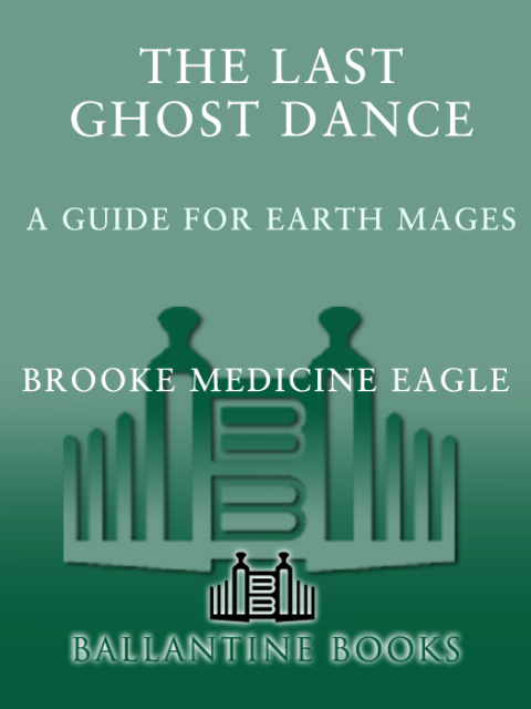 Cover image for book The Last Ghost Dance