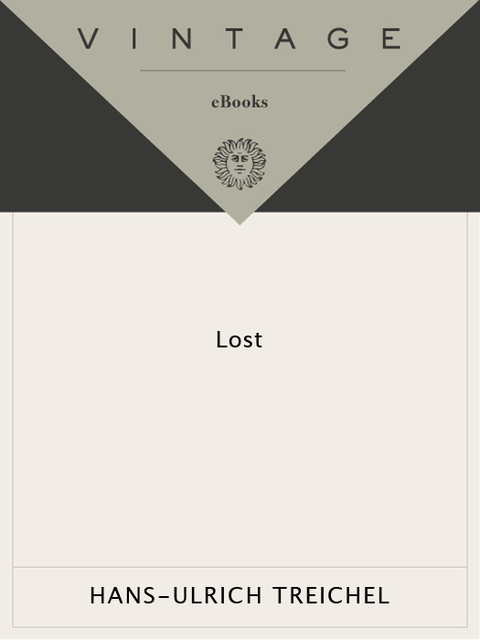 Cover image for book Lost