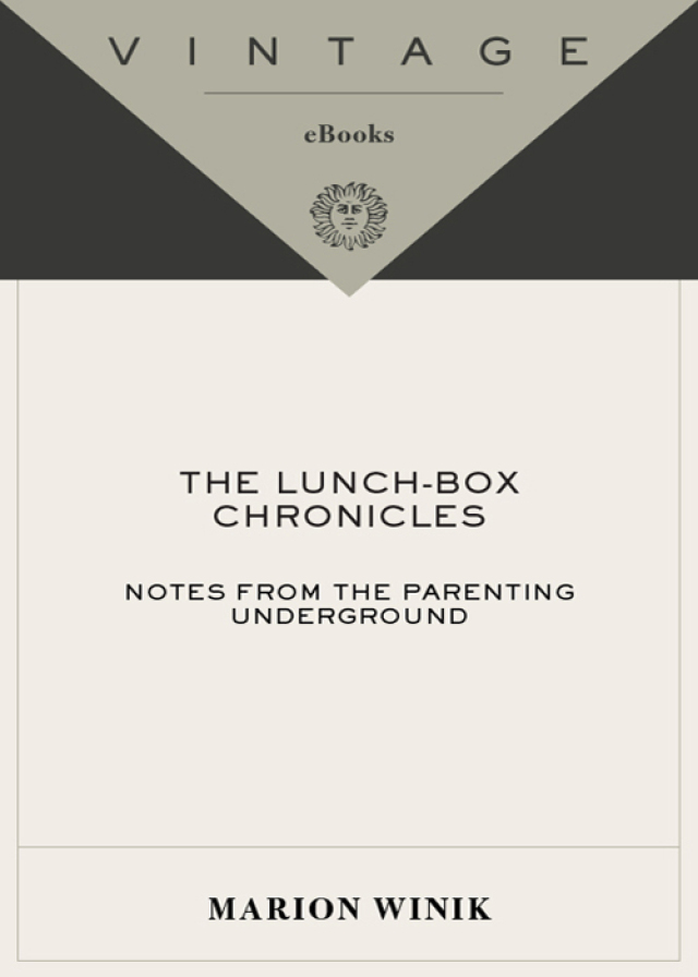 The Lunch-Box Chronicles