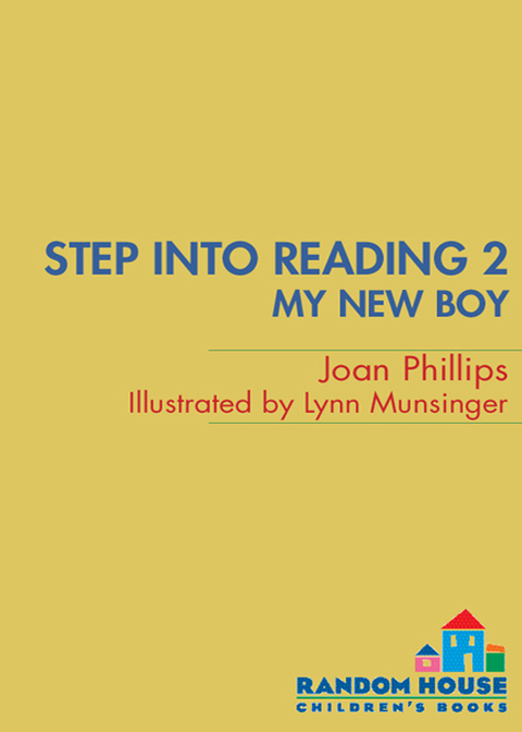 Cover image for book My New Boy