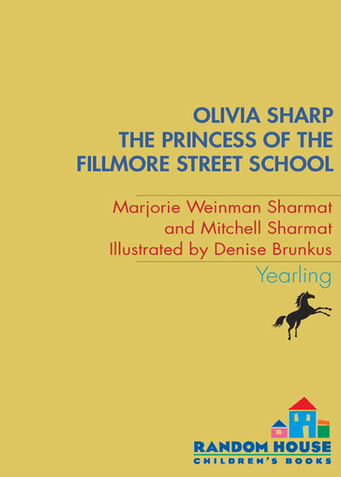 Cover image for book The Princess of the Fillmore Street School