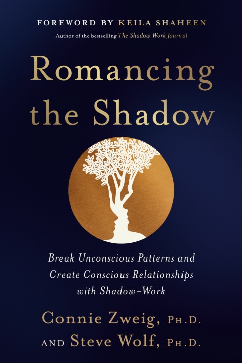 Cover image for book Romancing the Shadow
